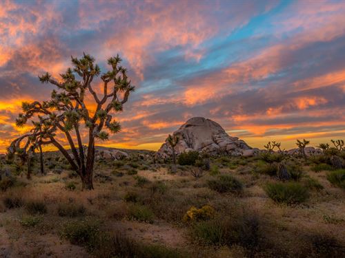 Vast 20 Acres in TX Near Hwy-62 : Cornudas : Hudspeth County : Texas