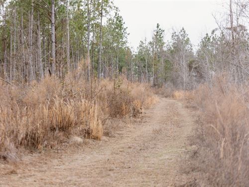 Bunn Store Road Homesite : Midville : Burke County : Georgia
