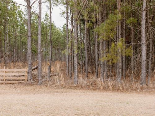 Bunn Store Road, Tract 1 : Midville : Burke County : Georgia