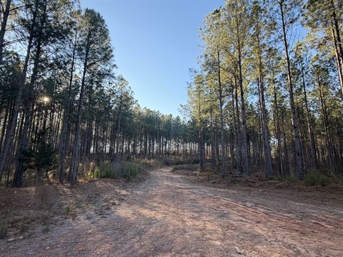 Rush Creek Farms : Eatonton : Putnam County : Georgia