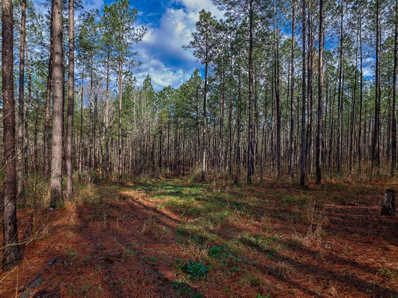 Pines at Devereux : Sparta : Hancock County : Georgia
