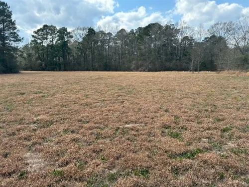 6.46 Acres / Magnolia, MS : Magnolia : Pike County : Mississippi