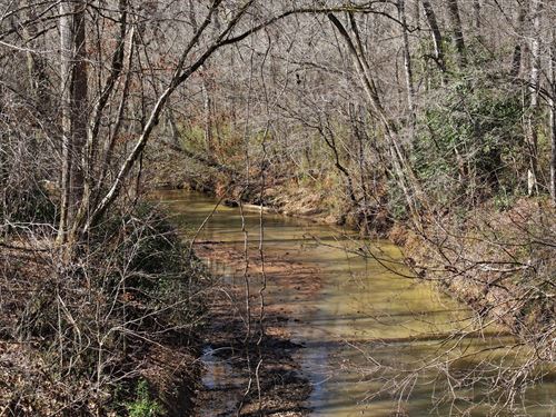 Stewart Farm Rd 50 Acres : Gray : Jones County : Georgia