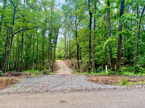 51 Acres in Tuscaloosa County, AL : McCalla : Tuscaloosa County : Alabama