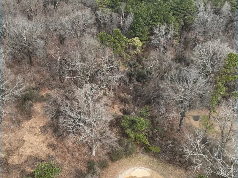 14.8 Acres in Marshall County in Ho : Holly Springs : Marshall County : Mississippi