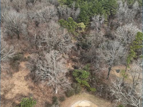 14.8 Acres in Marshall County in Ho : Holly Springs : Marshall County : Mississippi