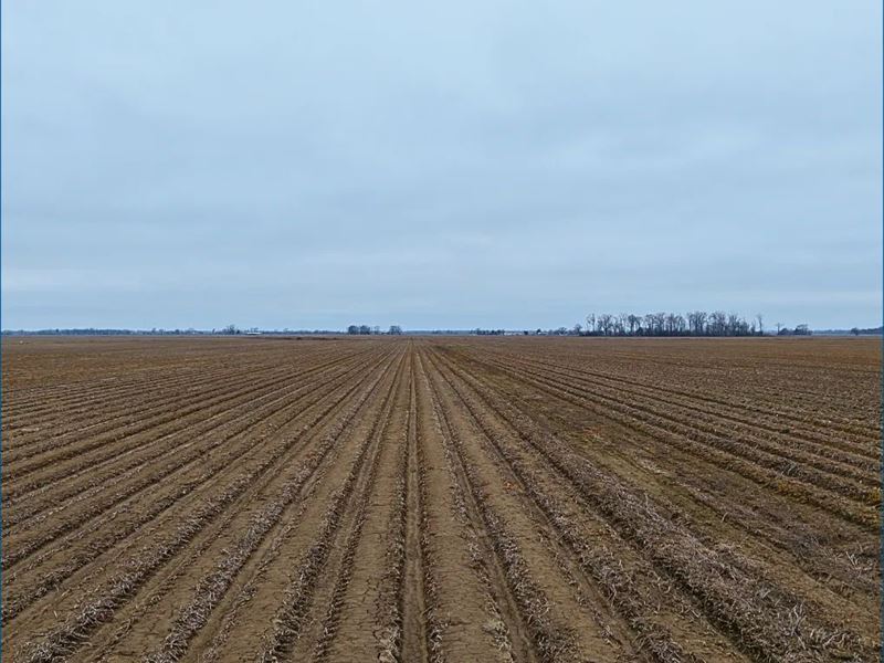 80 Acres in Sunflower County in Inv : Inverness : Sunflower County : Mississippi