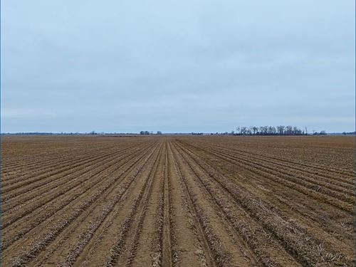 80 Acres in Sunflower County in Inv : Inverness : Sunflower County : Mississippi
