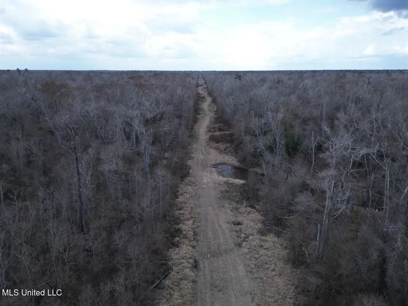 700 Acres in Allen Parish, Louisian : Reeves : Allen Parish : Louisiana