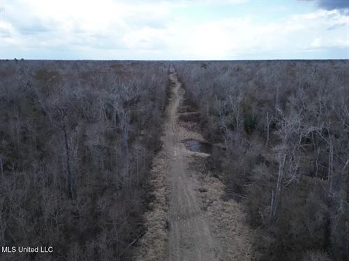 700 Acres in Allen Parish, Louisian : Reeves : Allen Parish : Louisiana