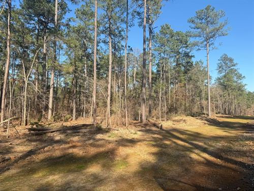 King Estates Lot 10 9-Acre Wooded : Ruston : Lincoln Parish : Louisiana