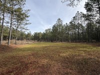 Miller Creek Farms : Gray : Jones County : Georgia