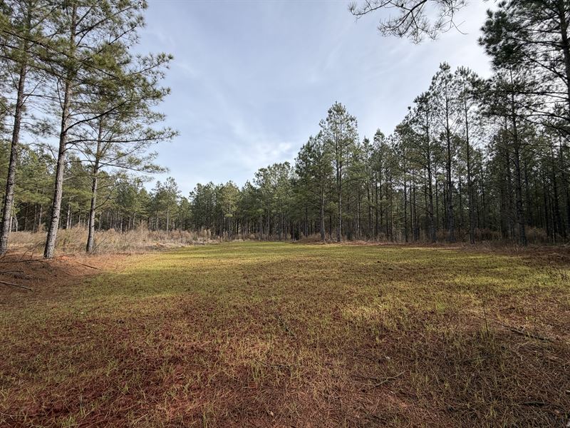 Miller Creek Farms : Gray : Jones County : Georgia