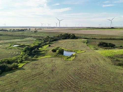153 Acres of Farmland & Grassland : Clinton : Custer County : Oklahoma
