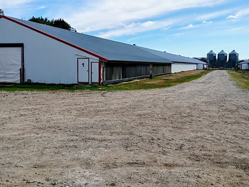 Poultry Farm in Hodges, AL : Hodges : Franklin County : Alabama