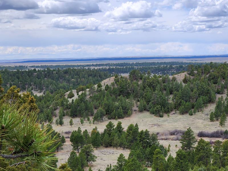 55 Two Pipe Trail : Sundance : Crook County : Wyoming