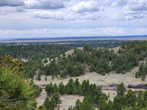 55 Two Pipe Trail : Sundance : Crook County : Wyoming