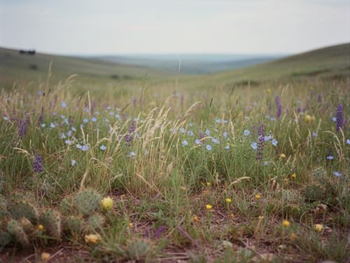 Vacant Acres in Cascade County : Sun River : Cascade County : Montana