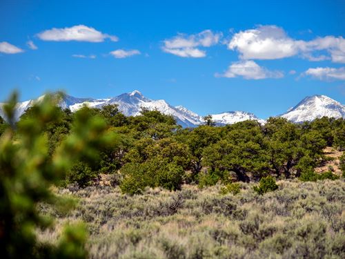 Treed Acres in Colorado : Fort Garland : Costilla County : Colorado
