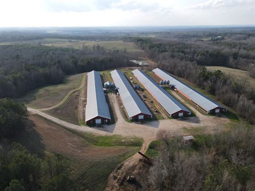 Cedar Creek Broiler Farm : Woodland : Randolph County : Alabama