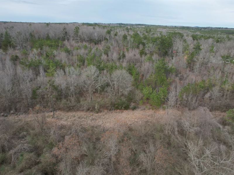 14.4 Acres in Montgomery County : Duck Hill : Montgomery County : Mississippi
