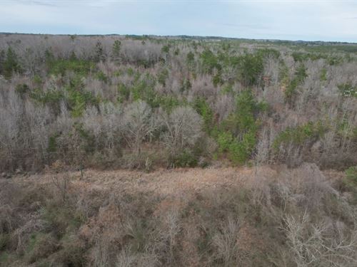 14.4 Acres in Montgomery County : Duck Hill : Montgomery County : Mississippi