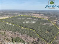 Pine Ridge : Union Point : Greene County : Georgia