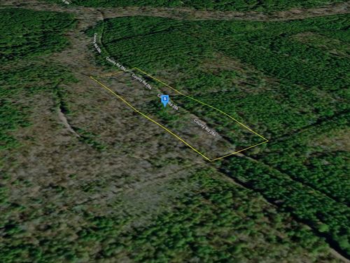 10 Acres in Lafayette County AR : Bradley : Lafayette County : Arkansas