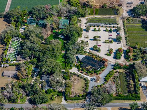 Hardeman's Secret Garden Estate : Dover : Hillsborough County : Florida