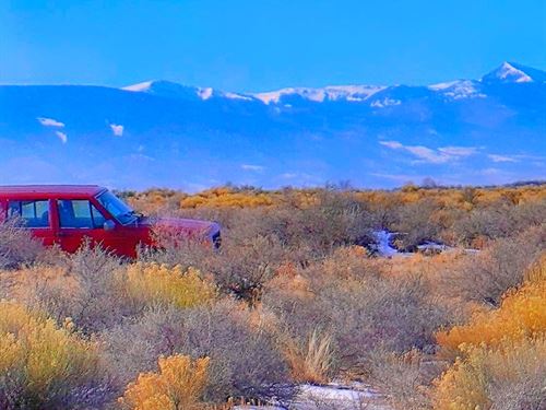 Our Most Beautiful Alamosa Property : Alamosa : Colorado