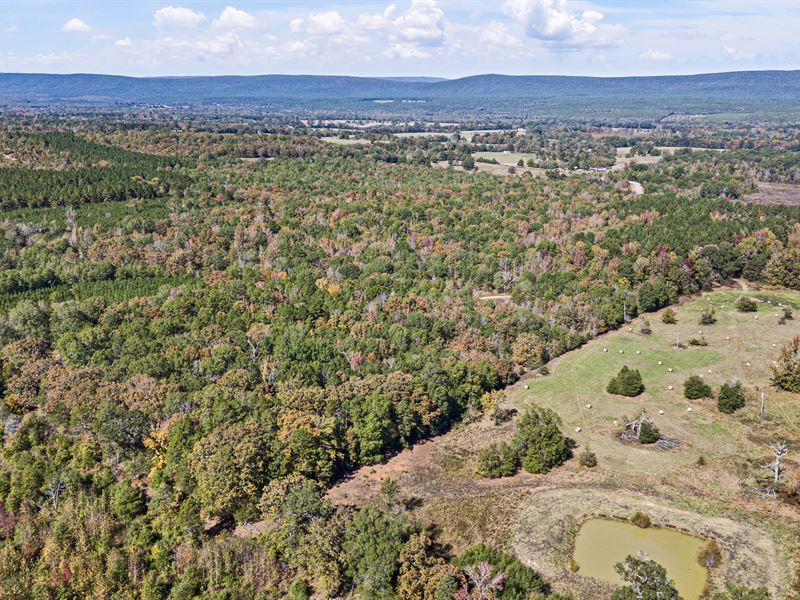 53 Acre Raw Land in Bluffton, AR : Bluffton : Yell County : Arkansas
