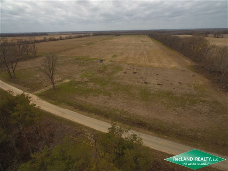 39.7 Ac Farm : Mer Rouge : Morehouse Parish : Louisiana