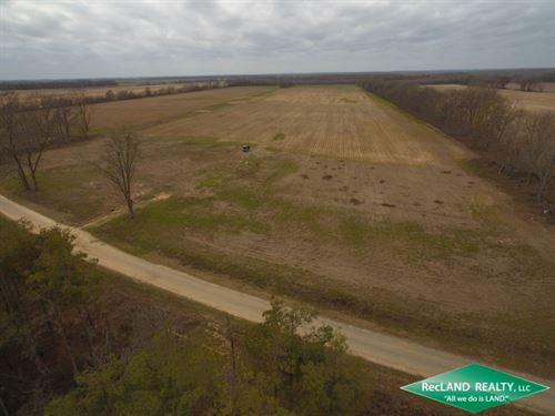 39.7 Ac Farm : Mer Rouge : Morehouse Parish : Louisiana