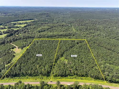 13 Acres, T-1, Highway 87, 1001 : Milam : Sabine County : Texas