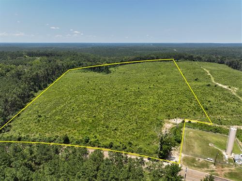 28 Acres, T-2, FM 330, 1009 : Geneva : Sabine County : Texas