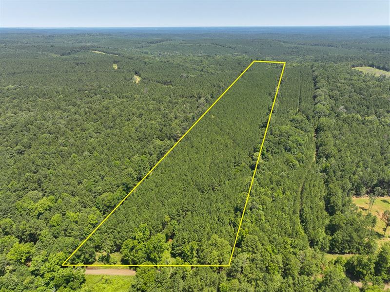 25 Acres, T-1, Carters Ferry Road : Milam : Sabine County : Texas