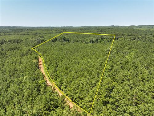 22 Acres, T-1, Lick Skillet Road : Milam : Sabine County : Texas