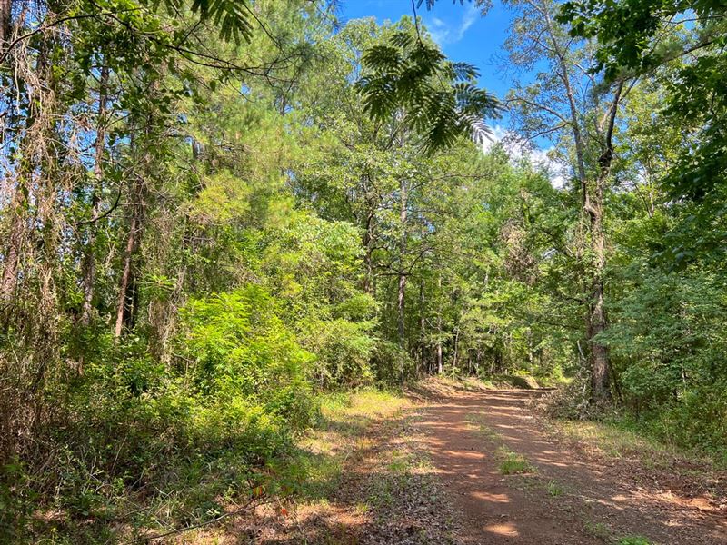 5 Acres, T-3, Off Highway 21, 10 : Geneva : Sabine County : Texas