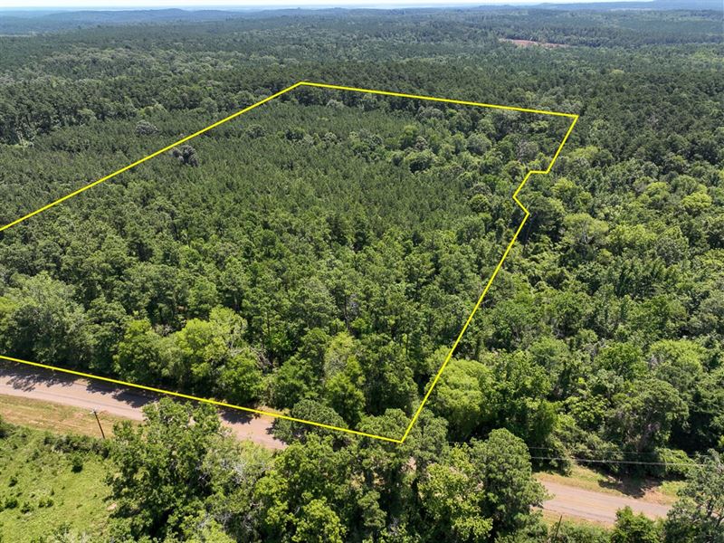 16 Acres, T-9, FM 330, 1009 : Geneva : Sabine County : Texas