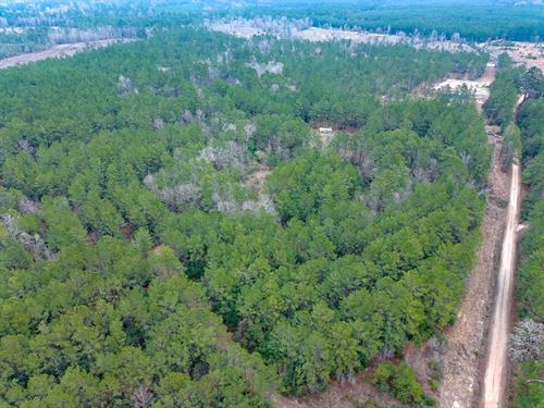 31 Acres, 209 Joskey Dykes Road : Zavalla : Angelina County : Texas