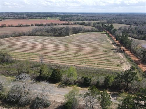 Rocky Creek Farms Lot 3 : Ashford : Houston County : Alabama