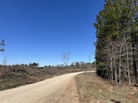 Nichols Tract : Greensboro : Greene County : Georgia