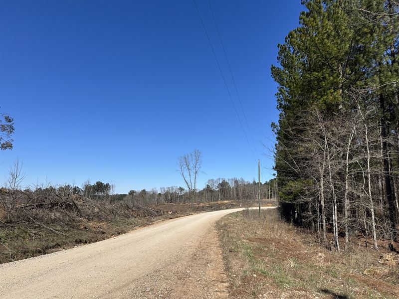 Nichols Tract : Greensboro : Greene County : Georgia