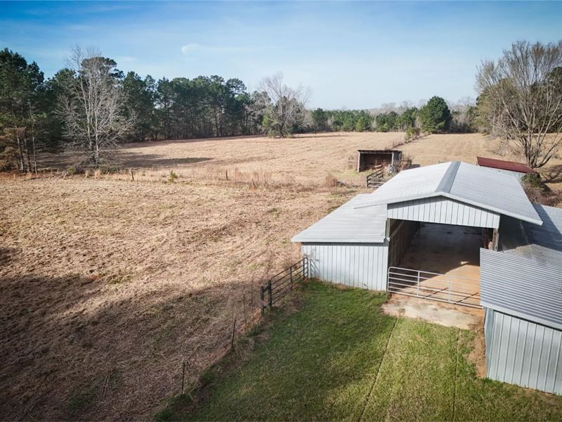 80 Acre Hunting Tract with Pasture : Doyline : Webster Parish : Louisiana