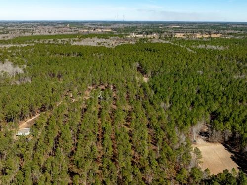 Lighter Knot Farm : Millen : Jenkins County : Georgia