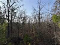 Cherokee Co 5.22 Ac Near Allatoona : Canton : Cherokee County : Georgia