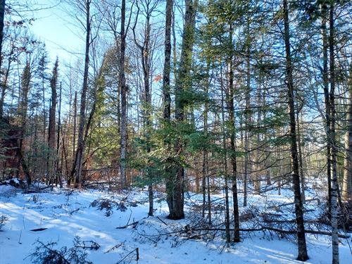 8 Acres Adjoining National Forest : Winter : Sawyer County : Wisconsin