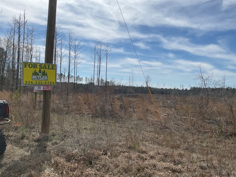 Nixon Road Tract 2-24 Acres : McKenzie : Butler County : Alabama