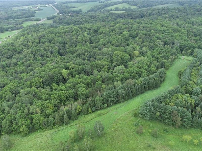 50 Acres Buffalo County : Mondovi : Buffalo County : Wisconsin