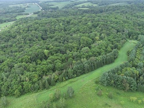 50 Acres Buffalo County : Mondovi : Buffalo County : Wisconsin